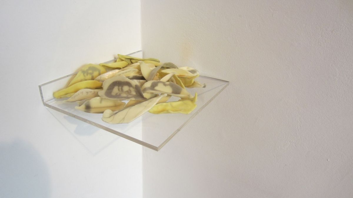 virginialopez_Leaves (Reverie de las aguas). 2012. wax. cotton paper, pigments and GBC.