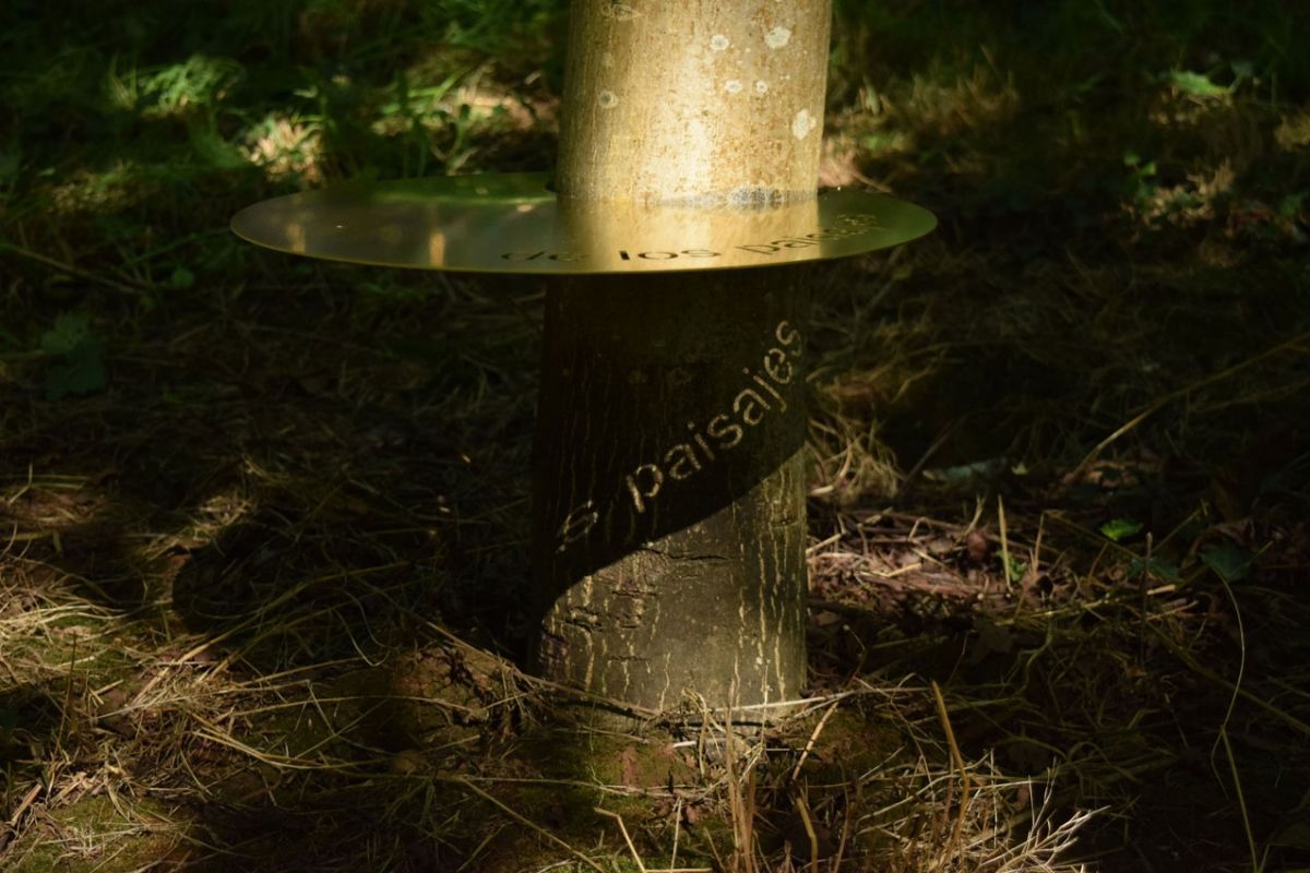 Bajo mi sombra el tiempo trascendido.&amp;nbsp;Virginia L&amp;oacute;pez, 2019&amp;nbsp;Instalaci&amp;oacute;n ambiente&amp;nbsp;