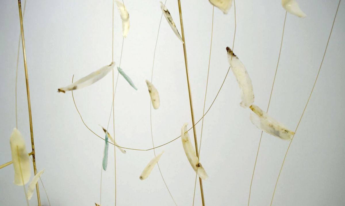 Virginia L&amp;oacute;pez,&amp;nbsp;Algunas formas de contemplar el tiempo (abril), 2019. det