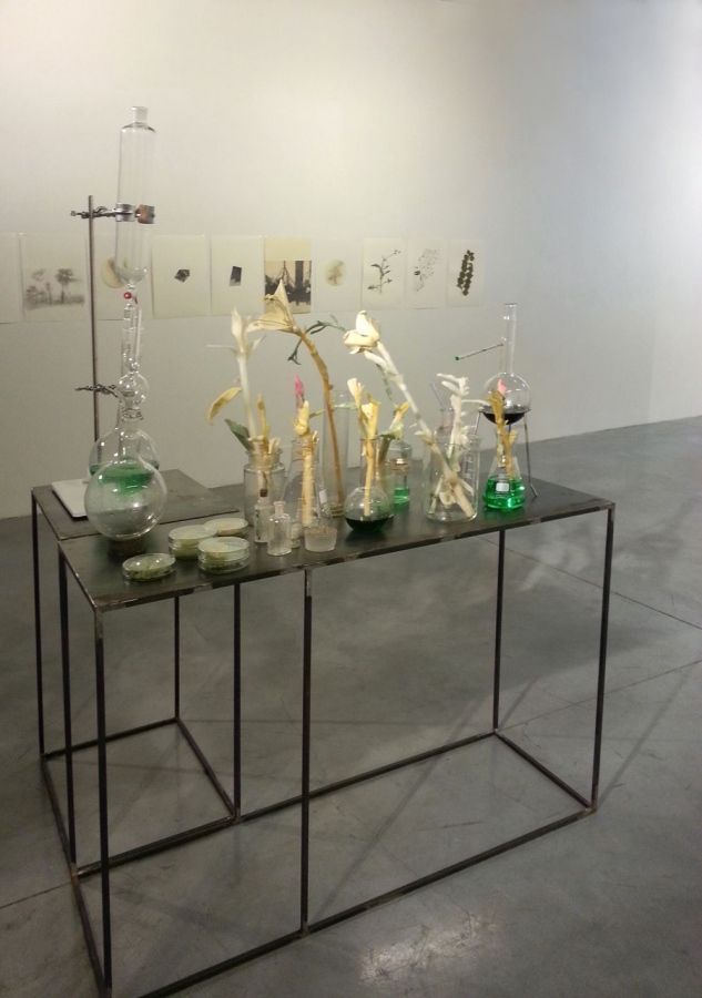 virginia lopez_fossili nelle acque durmienti II_2013