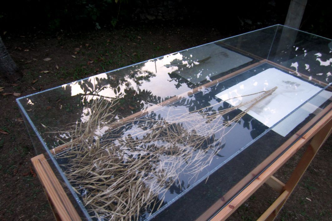 Virginia L&amp;oacute;pez.&amp;nbsp;Hortus (in)conclusus. 2015
