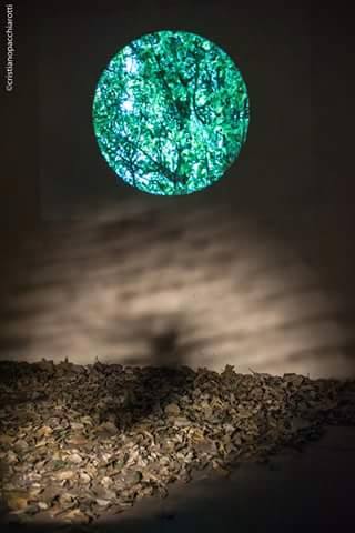 virginia lopez_ChangingLeaves, 2011-13. 2025 future environment human. Roma. 2015.