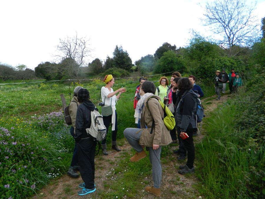 PAV 2015-TALLER HABITANTES PAISAJISTAS A CARGO DE VIRGINIA L&amp;Oacute;PEZ