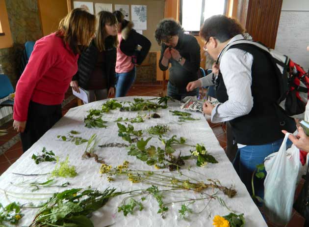 PAV2015-TALLER HERBARIUM A CARGO DE LORENA LOZANO