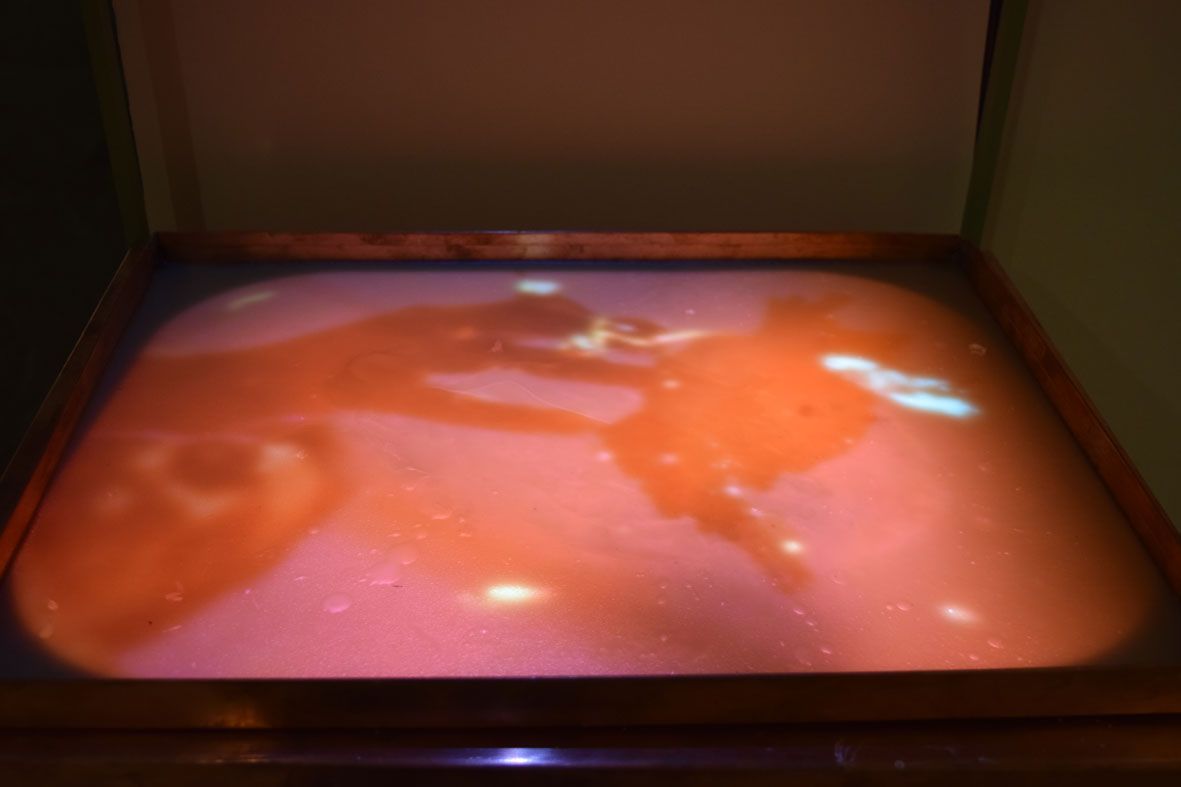VIRGINIA L&amp;Oacute;PEZ "Dentro-detr&amp;aacute;s-entre.&amp;nbsp;Secretos y placeres",&amp;nbsp;2018. excerpt video. Museo Casa Natal de Jovellanos