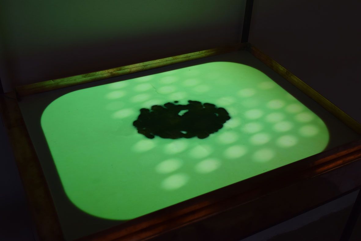 VIRGINIA L&amp;Oacute;PEZ "Dentro-detr&amp;aacute;s-entre.&amp;nbsp;Secretos y placeres",&amp;nbsp;2018. Museo Casa Natal de Jovellanos