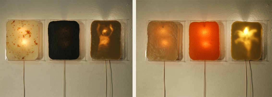 virginia lopez, Waxlightpolyptich_2009. 6 lastras de cera, pigmentos, leds y soportes en plexiglass.