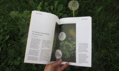 Virginia Lopez ,El tiempo trascendido de las&amp;nbsp;r&amp;ecirc;veries.&amp;nbsp;publicado en la revista de arte y cultura contempor&amp;agrave;nea "21 Le Mag", Asturias.2013