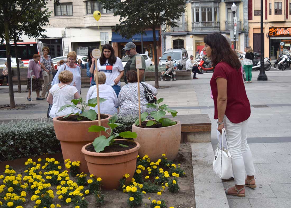 Vykort.&amp;nbsp;Virginia L&amp;oacute;pez y H&amp;eacute;ctor Z. Siluchi. Plaza del Parch&amp;iacute;s. Presentaci&amp;oacute;n y Plantaci&amp;oacute;n de berenjenas.&amp;nbsp;
