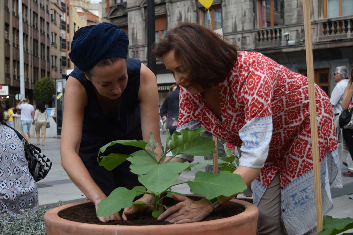 Vykort.&amp;nbsp;Virginia L&amp;oacute;pez y H&amp;eacute;ctor Z. Siluchi. Plaza del Parch&amp;iacute;s. Presentaci&amp;oacute;n y Plantaci&amp;oacute;n de berenjenas.&amp;nbsp;